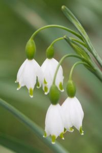 Bright_9-5-2013_IMG_2295