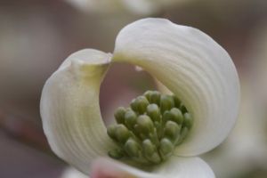 Bright_9-12-2013_IMG_2303