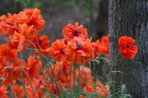 Bright_11-21-2013_IMG_2776