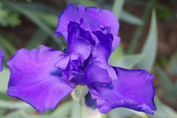 Bright_11-28-2013_IMG_2865