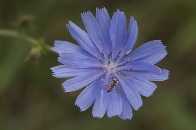 Bright_1-16-2014_IMG_3872