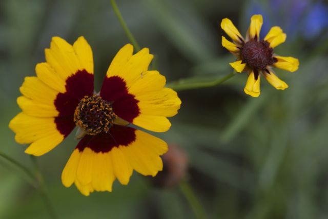 Bright_1-23-2014_IMG_3886