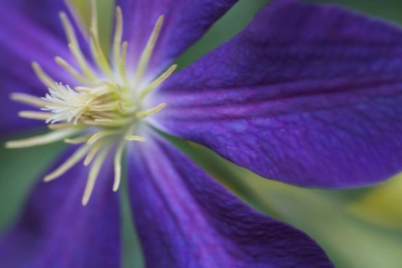 Bright_2-6-2014_IMG_3251