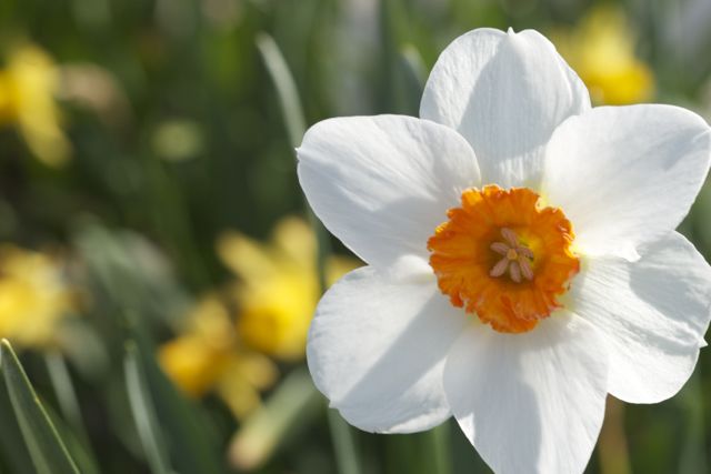 Bright_4-17-14_IMG_6506