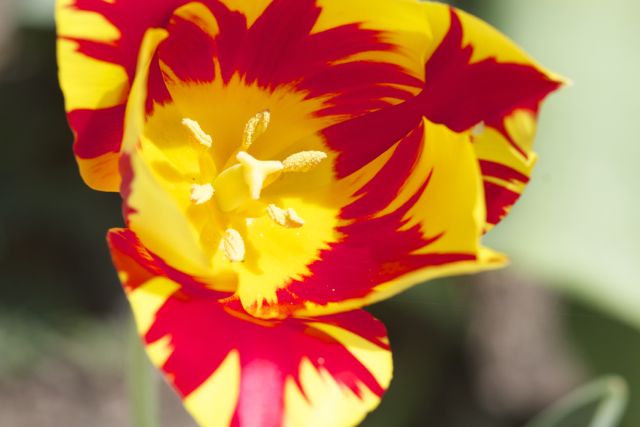 Bright_4-24-2014_IMG_6757