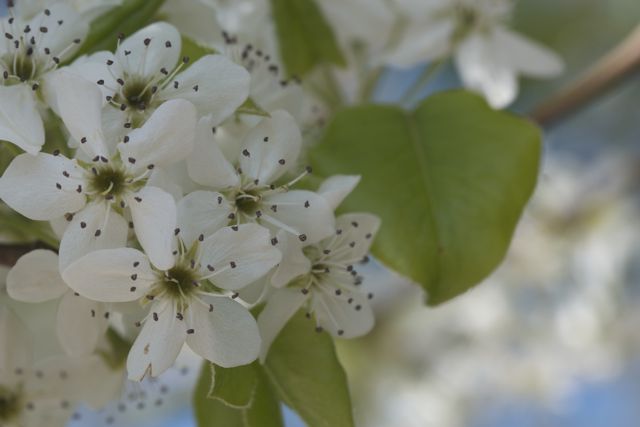 Bright_5-15-2014_IMG_6638