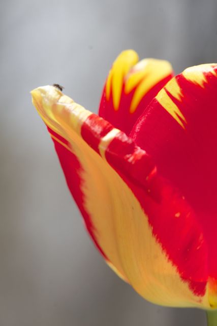 Bright_5-8-2014_IMG_6768