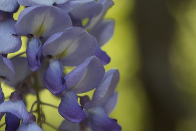 Bright_6-5-2014_IMG_7327