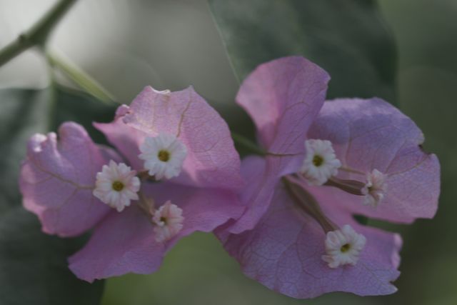 Bright_7-17-2014_IMG_5813