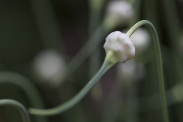 Bright_8-28-2014_IMG_8153