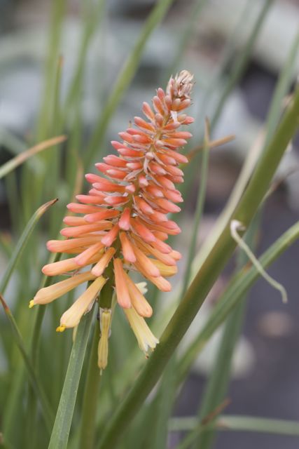 Bright_9-18-2014_IMG_8039