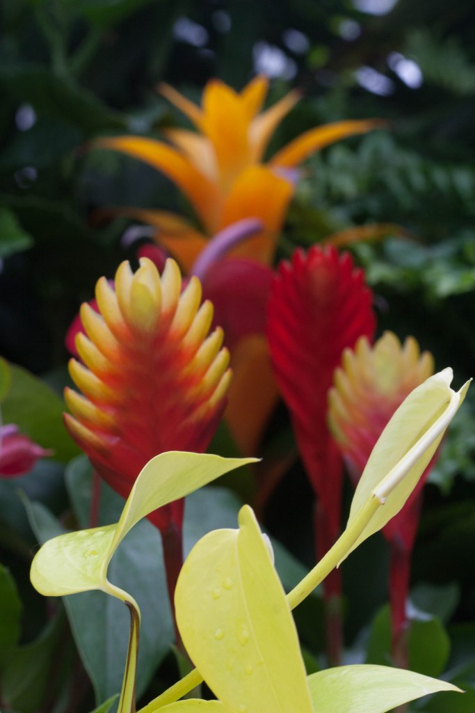 Bright_01-29-2015_IMG_1153