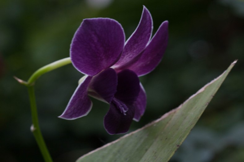 Bright_02-12-2015_IMG_0511