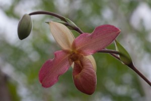 Bright_02-26-2015_IMG_0783