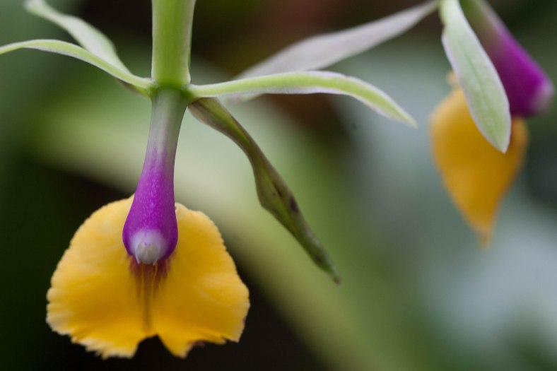 Bright_03-12-2015_IMG_0860