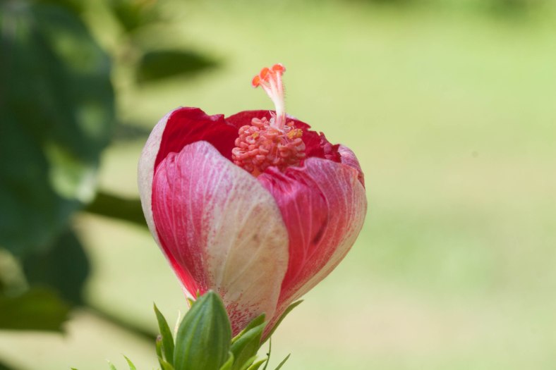 Bright_1-14-2016_IMG_3677