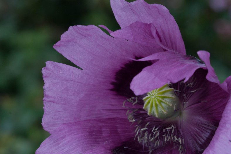 Bright_ 8-25-2016_IMG_6304