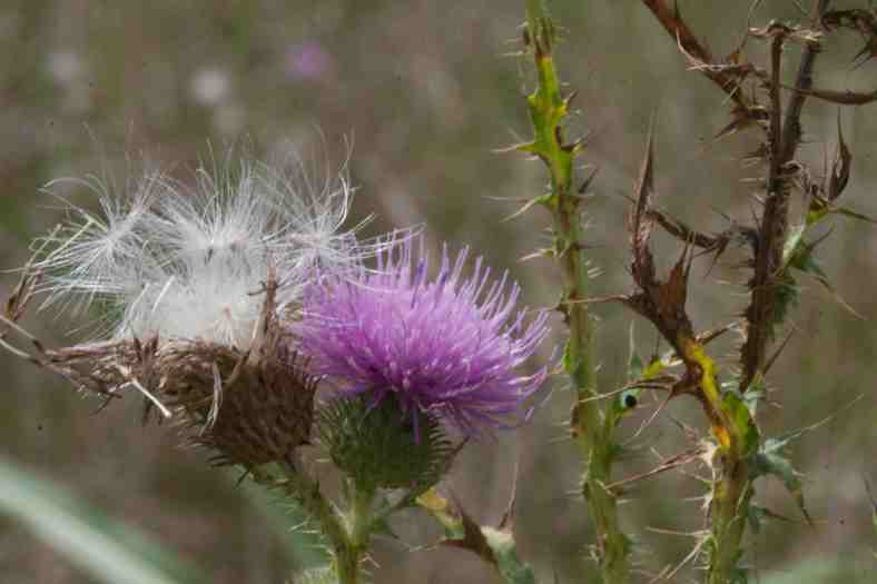 bright_9-29-2016_img_3964