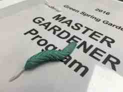 tobacco-hornworm-on-cover