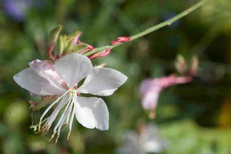 bright_11-13-2016_img_7958