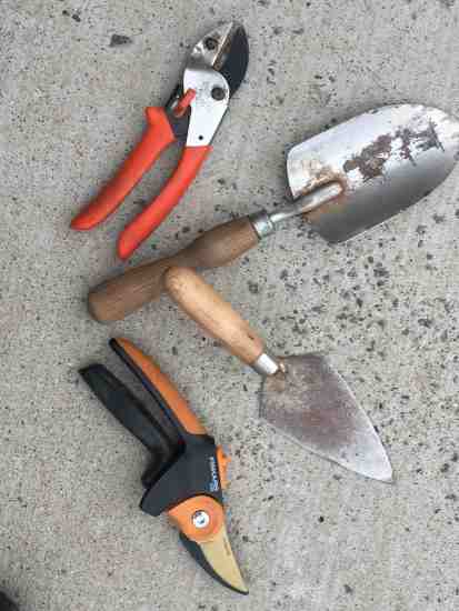 pruners-and-diggers_img_2441