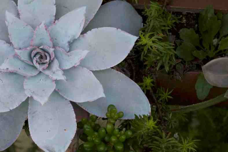 bright_12-29-2016_img_7983