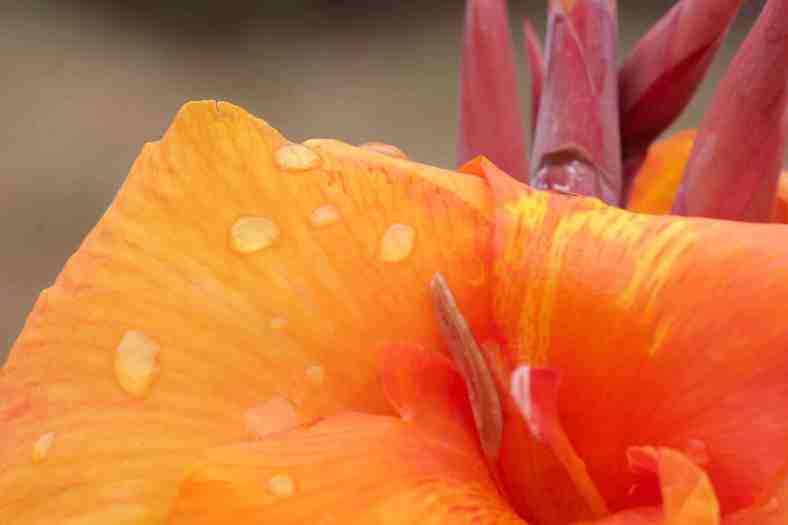 bright_1-19-2017_img_6880