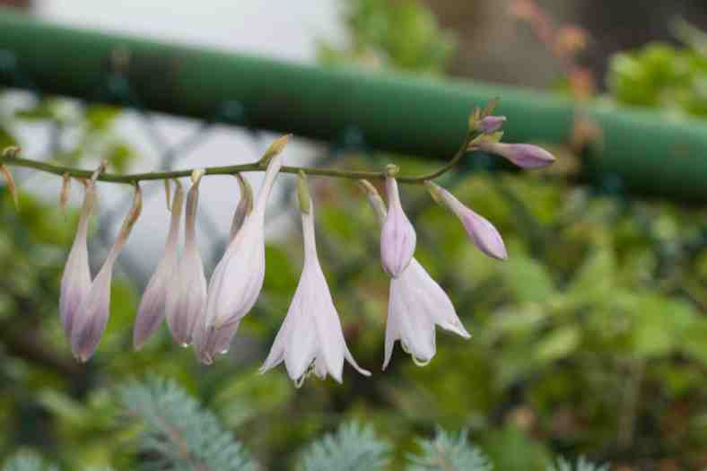 bright_1-26-2017_img_7070