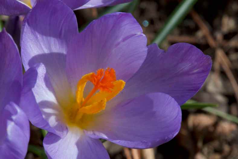 bright_2-23-2017_img_8681