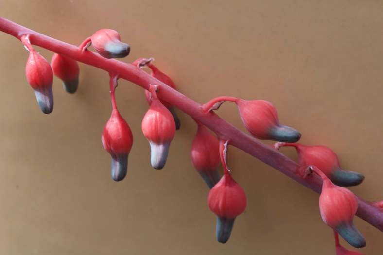 Bright_2017-03-23_IMG_9502