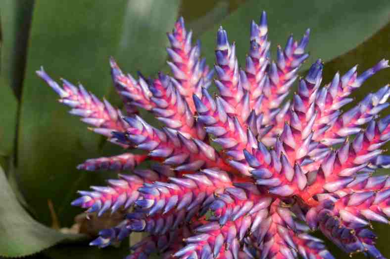 Bright_3-9-17_IMG_9130