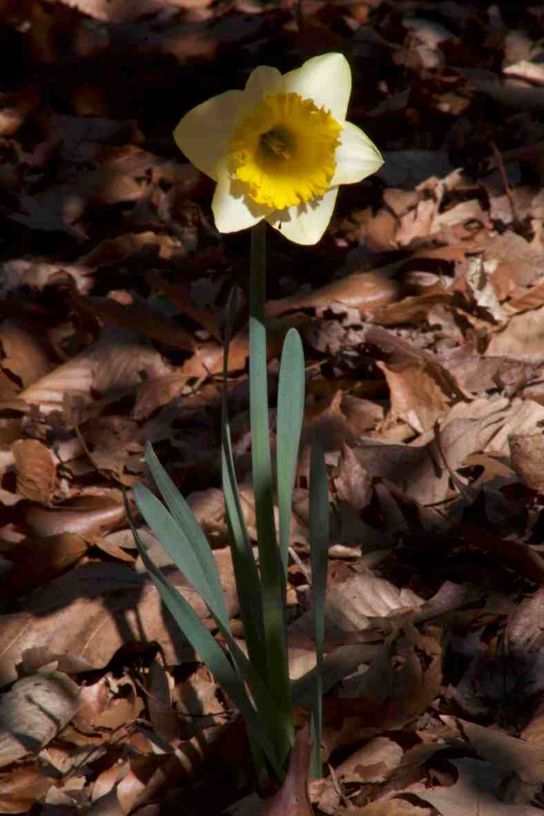 shed-a-little-light_img_9435