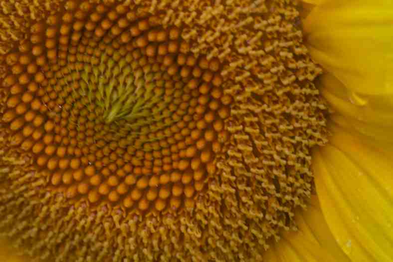 Bright_8-24-2017_IMG_2254-sm