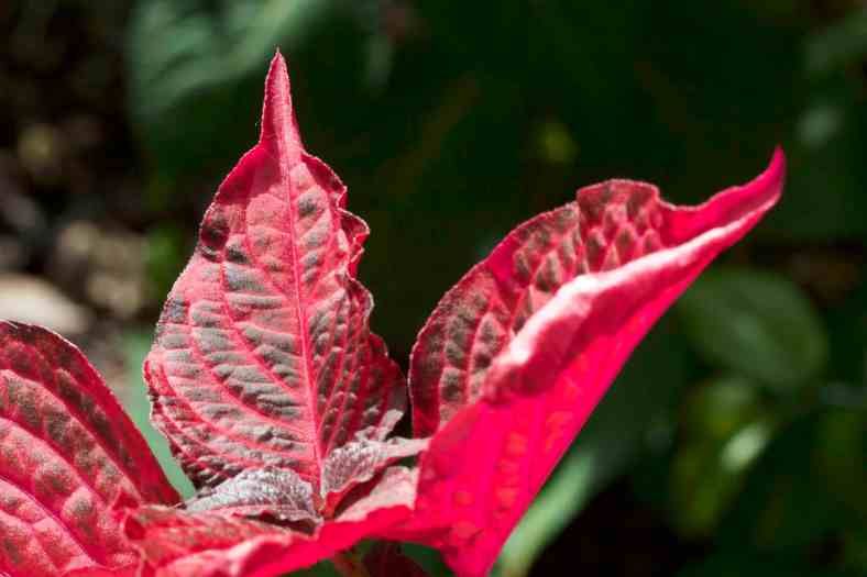 Bright_11-4-2017_Open up and let sun shine in_IMG_2658