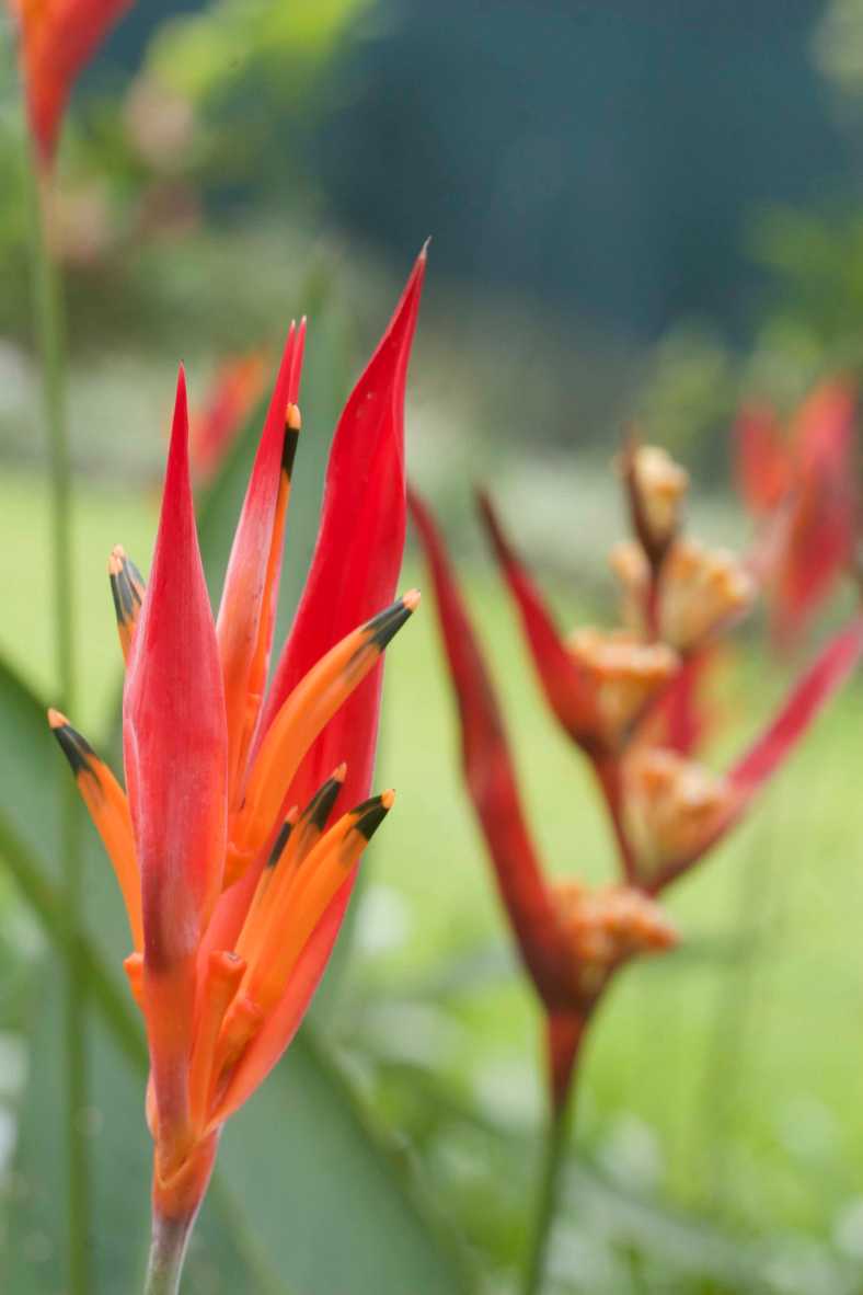 Bright_12-21-17_IMG_3668