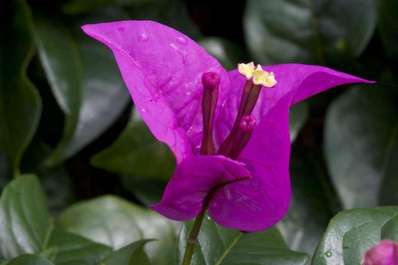 Bright_1-11-2018_IMG_3421