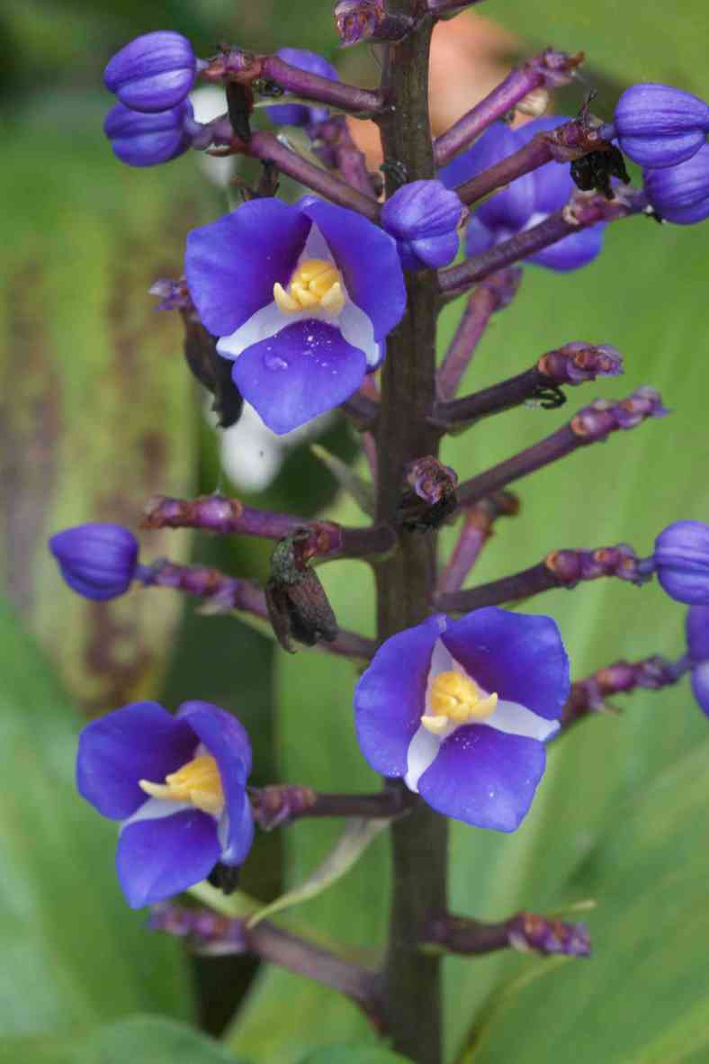 Bright_1-25-2018_IMG_3434