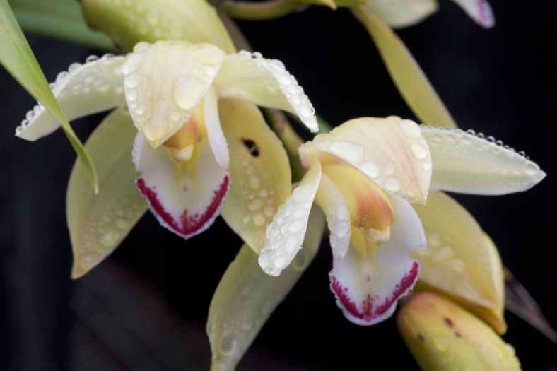 Bright_1-4-2018_IMG_3259