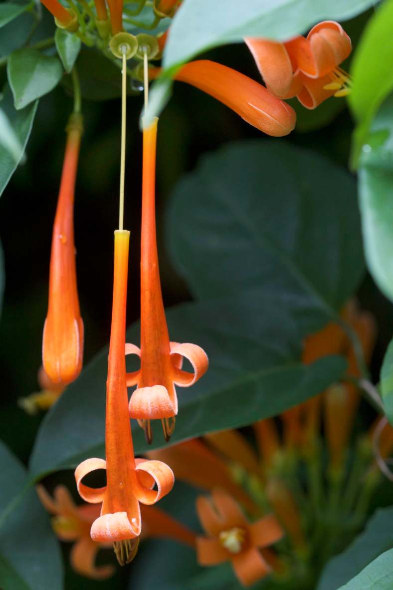 Bright | 2018-02-15_IMG_3692