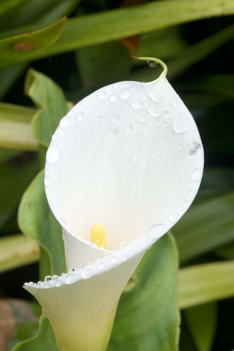 Bright_2-1-2018_IMG_3281