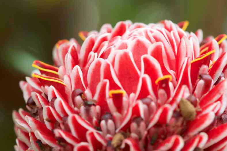 Bright_2018-0208_IMG_3622