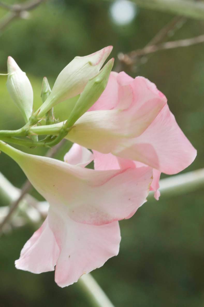 Bright_2018-03-01IMG_3720