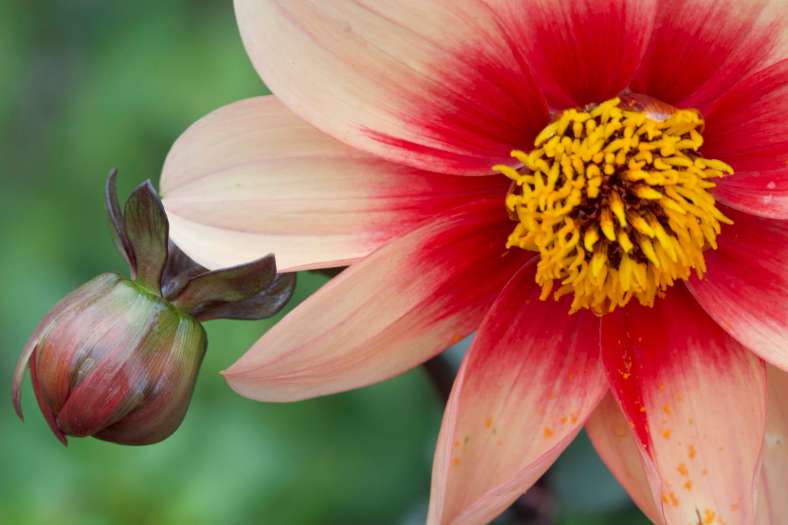 Bright_10-11-2018_IMG_7334