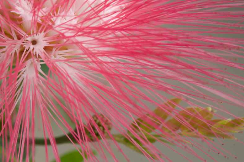 Bright_11-8-2018_IMG_9508