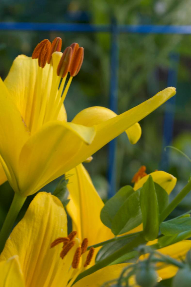 bright_2018-01-10_img_4713