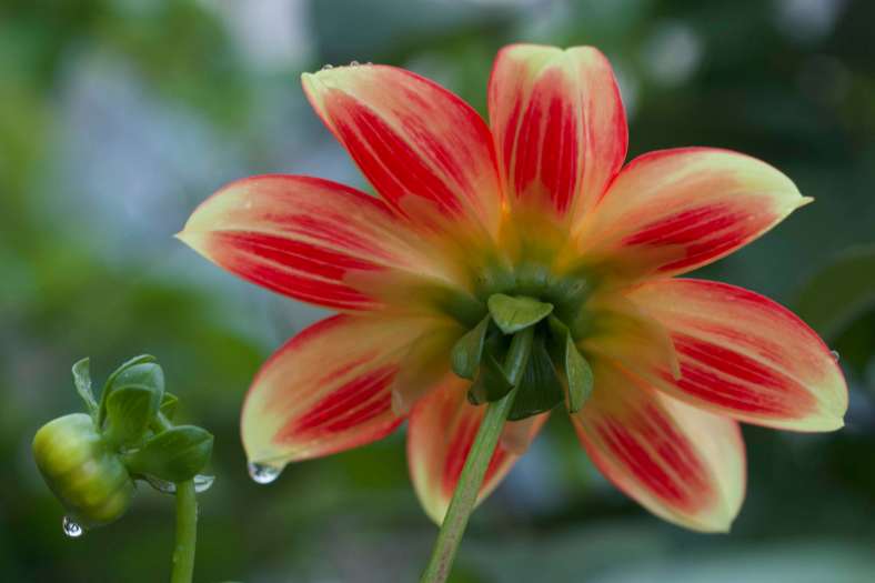 Bright_2019-03-07_IMG_2471