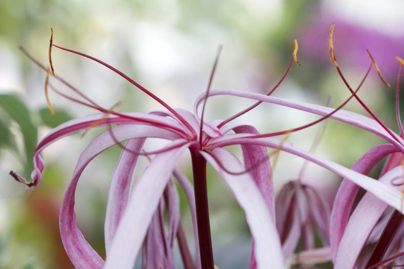 Bright_8-1-2019_IMG_9518